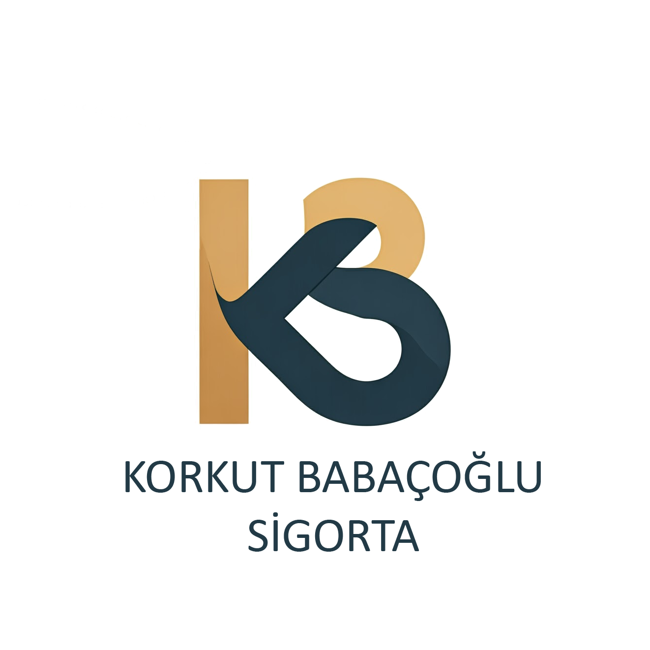 Firma Logosu